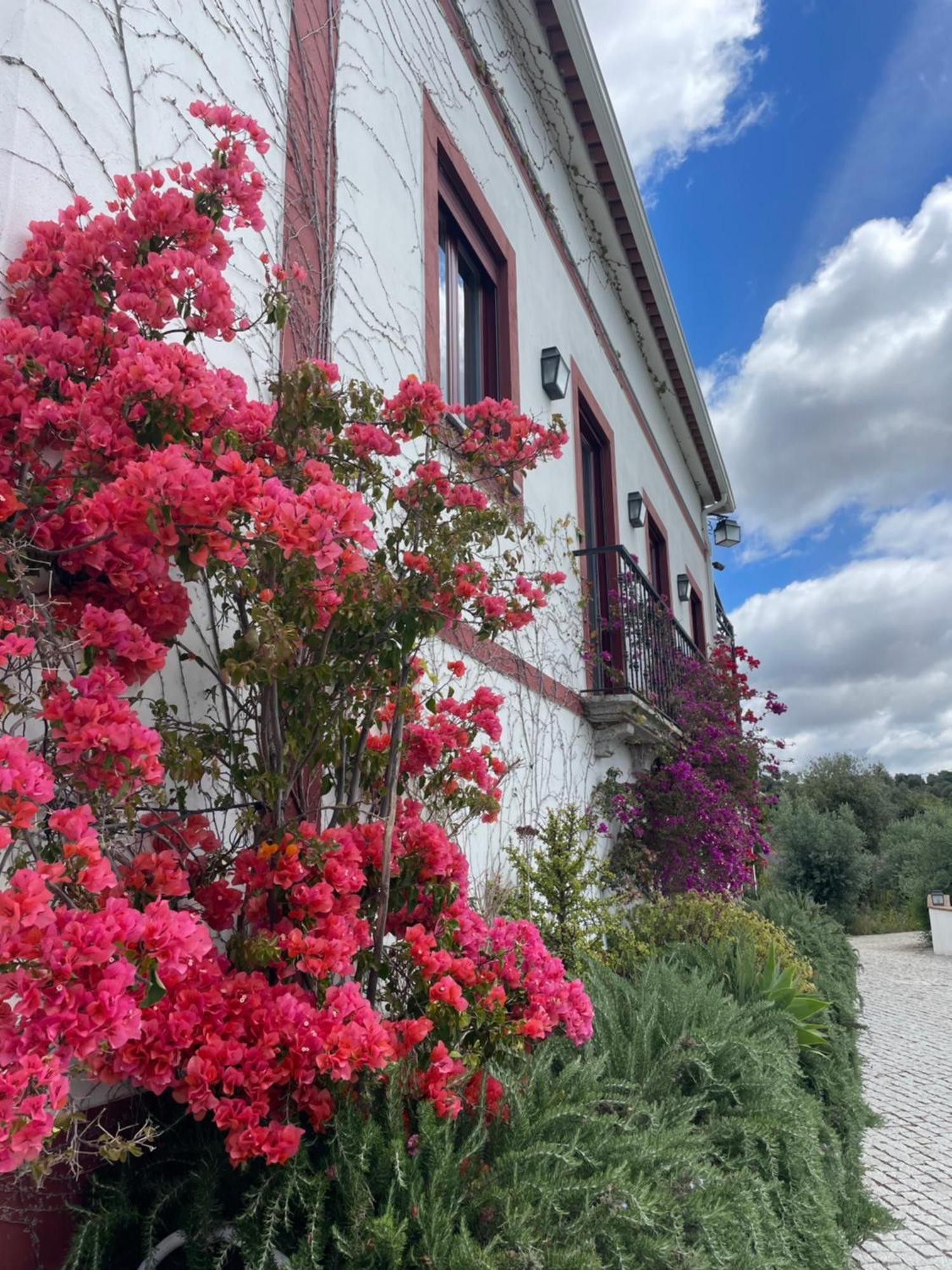 Quinta Da Asneira Apartment Montemor-o-Novo Exterior foto