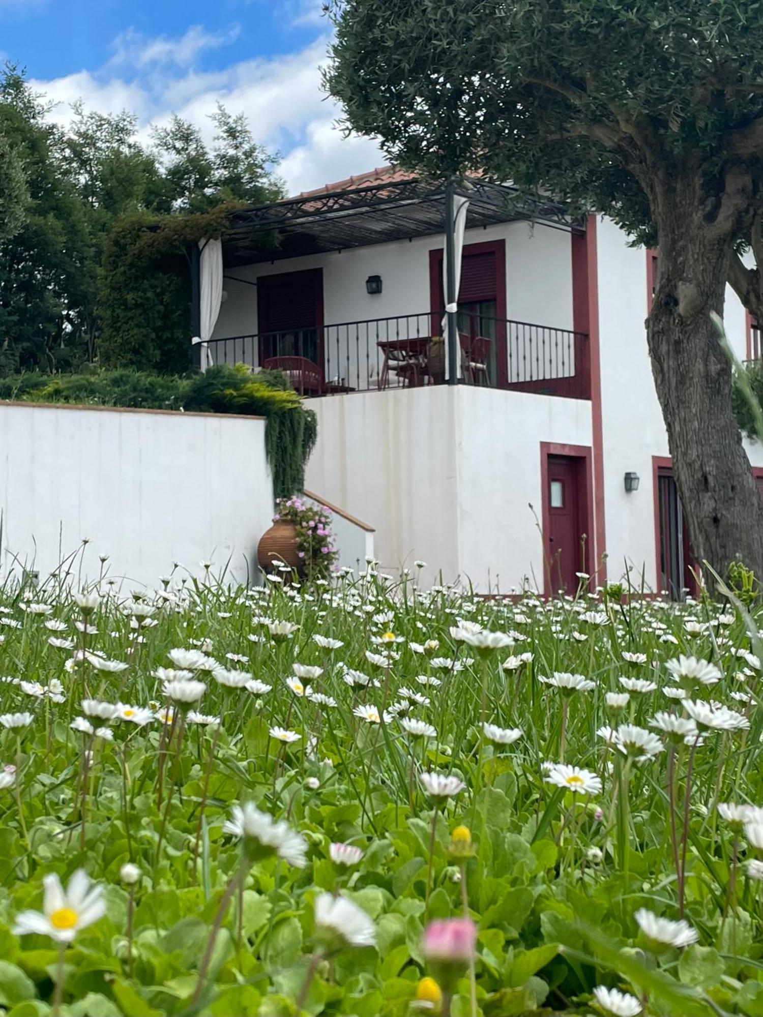 Quinta Da Asneira Apartment Montemor-o-Novo Exterior foto