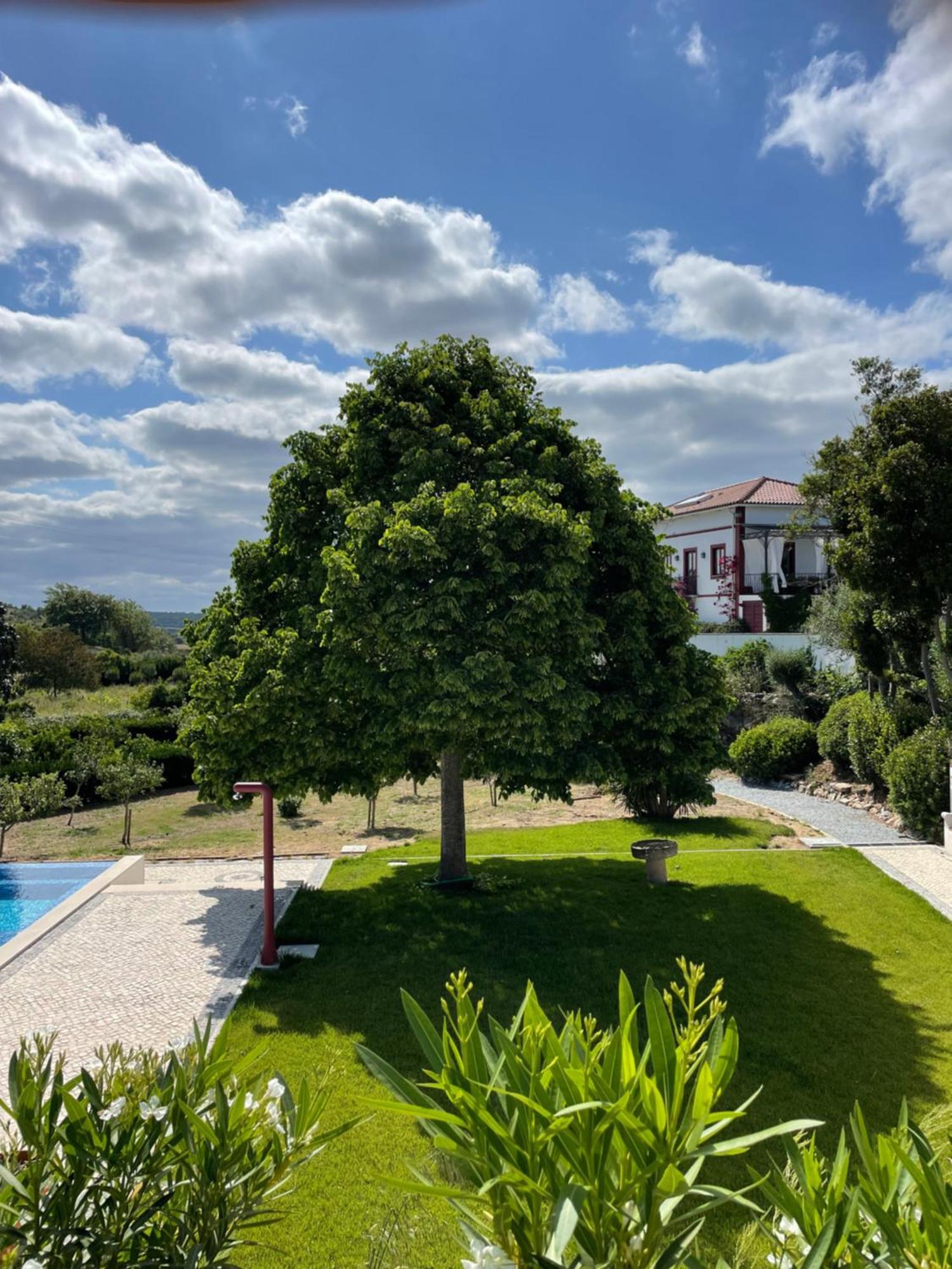 Quinta Da Asneira Apartment Montemor-o-Novo Exterior foto